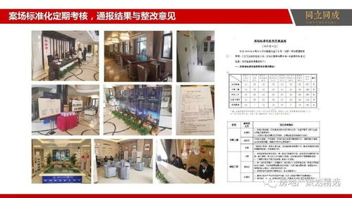 策划 房地产营销策划提案