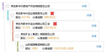 枣庄新中兴房地产开发有限责任公司
