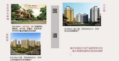 房地产 大盘营销策略 解析