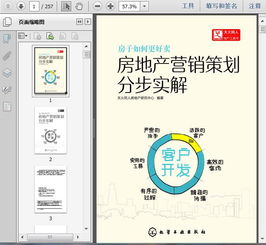 房地产营销策划详解257页