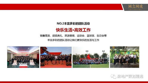 策划 房地产营销策划提案
